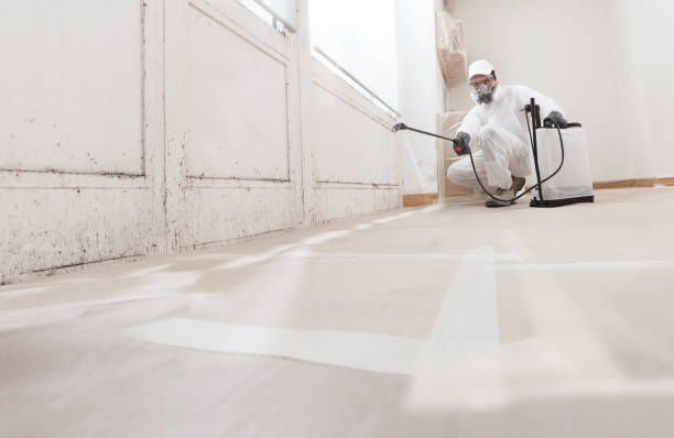 24/7 Emergency Commercial Mold Remediation experts in Audubon, PA